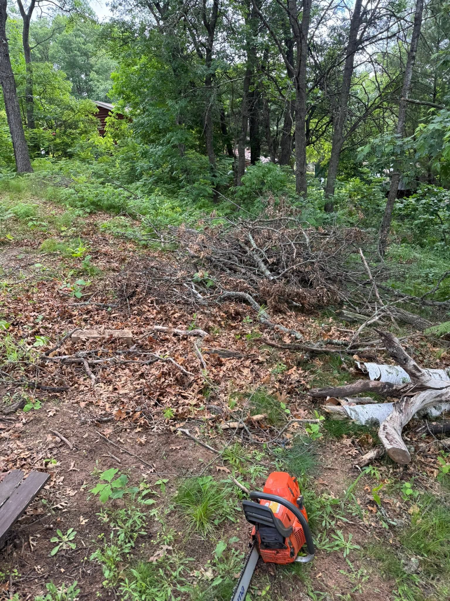 Before and after example - before