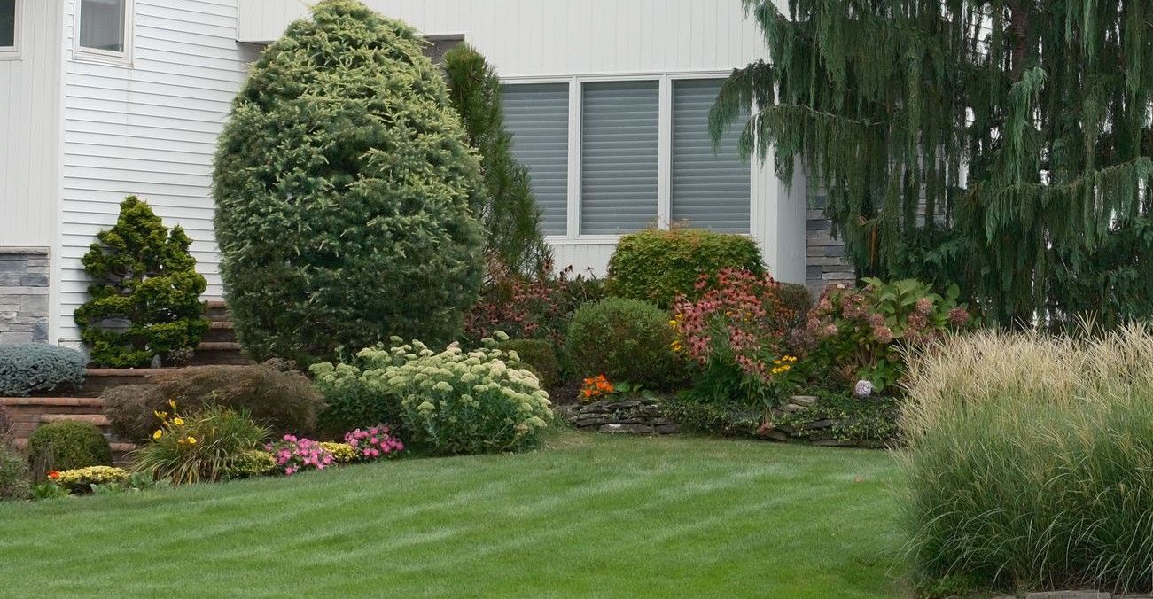 Beautiful suburban home with manicured garden and diverse greenery, capturing modern residential architecture.